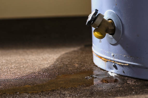 Best Sewage cleanup and water damage restoration  in Rockwood, VA