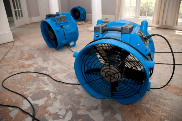 Best Ceiling water damage repair  in Rockwood, VA
