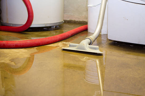 Best 24/7 water damage repair  in Rockwood, VA