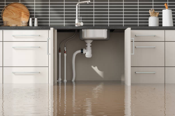 Best Water damage restoration near me  in Rockwood, VA