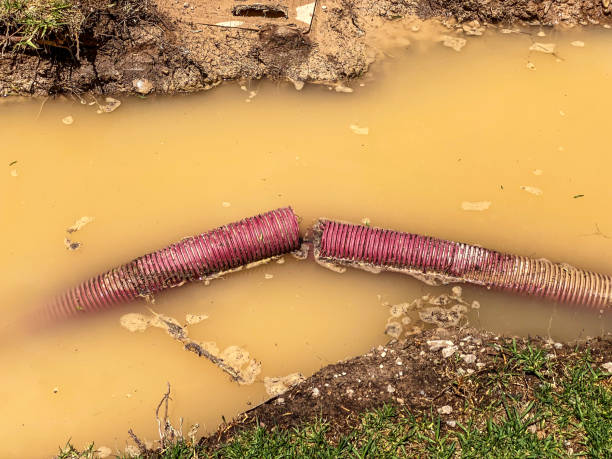 Best Water damage cleanup near me  in Rockwood, VA